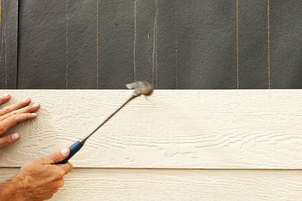 Best Aluminum Siding Installation  in Southside, AR